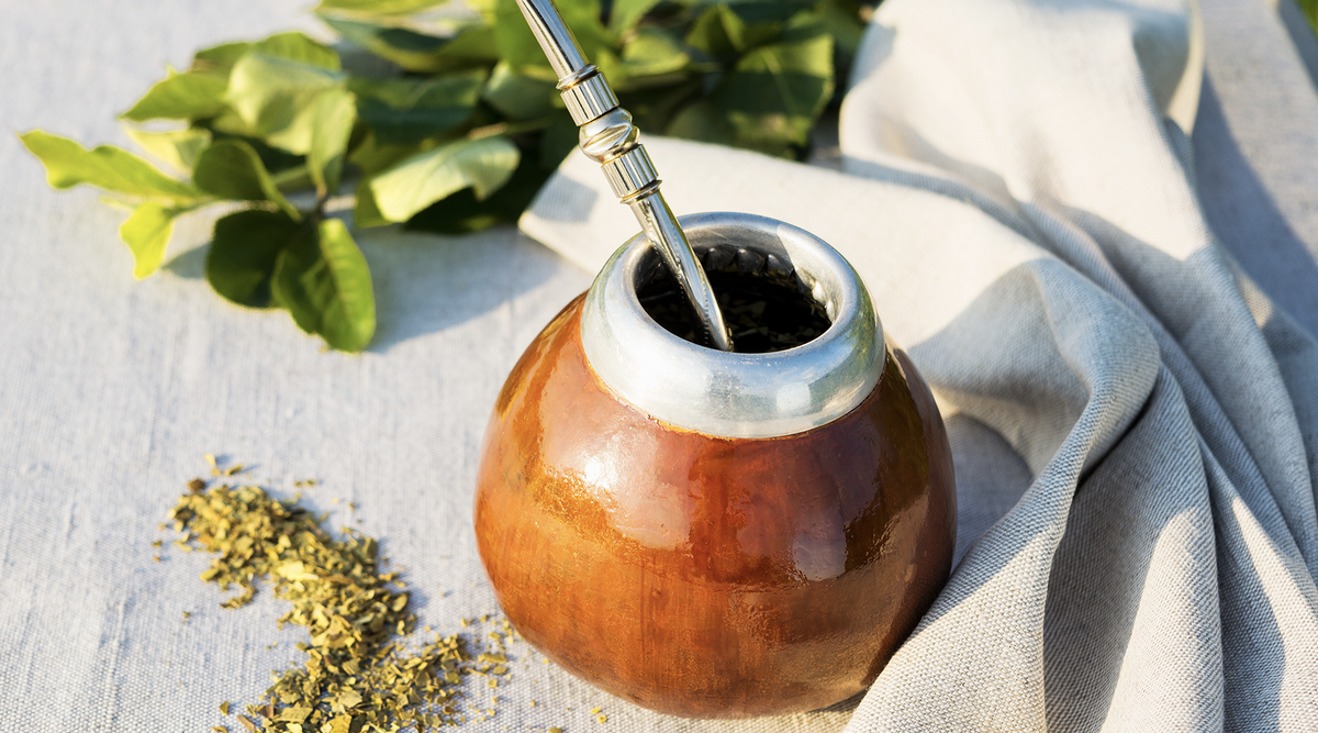 Commonly asked questions about Yerba Mate – Go Mate Drinks